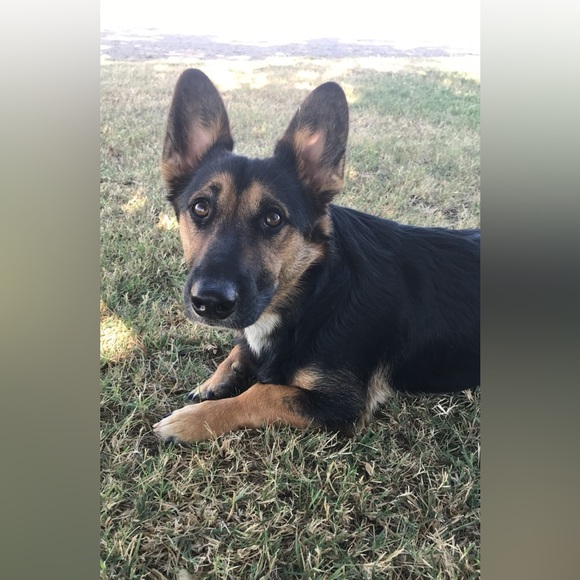 Meet your Posher, Carrie - Picture 3 of 10